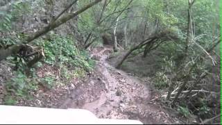 Sfe JAmbo Malasia.avi
