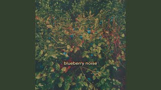 blueberry noise