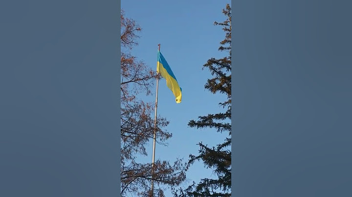 Державний прапор України 2022