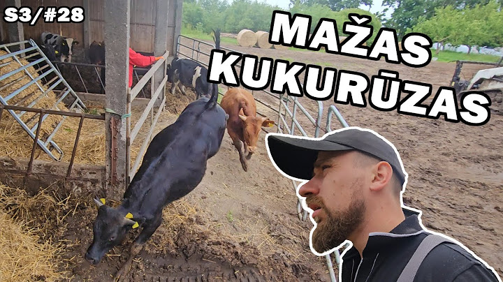 ukis.zemaitija/s3#28 mini kukurūzai, rulonų vežimas, mešlas bakužė.