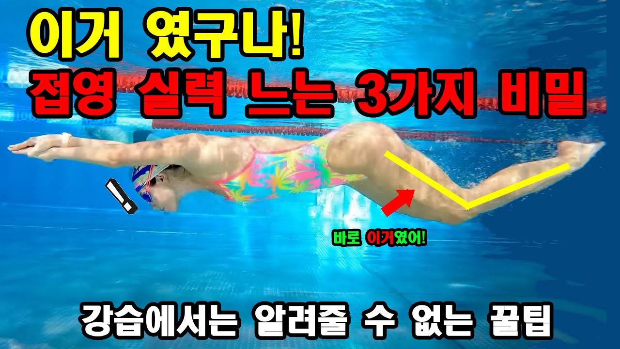 10년 써먹는 수영 접영 실력 확 느는 3가지 비밀