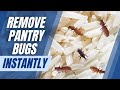 How to Get Rid Of Pantry Bugs (This Trick is Simply Amazing!)
