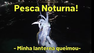 Pesca sub noturna em Porto de Galinhas [ Pescando Mariquita, lula e lagosta ] screenshot 5