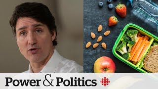 Ottawa pledging $1B to launch national school food program | Power & Politics