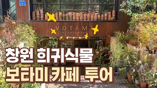 창원 희귀식물 보타미카페 투어