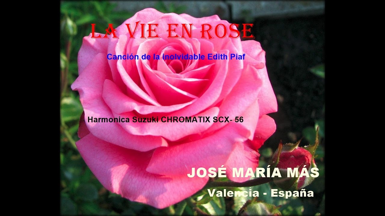 LA VIE EN ROSE HARMONICA CROMATICA YouTube