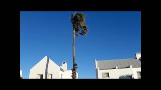 Lied van die lewe