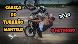 Cabeça De Tubarão Martelo O Retorno 2020