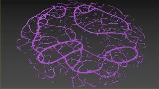 Slime Simulation - TyFlow