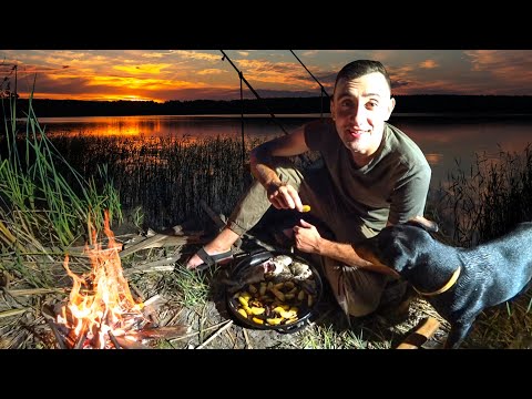 Видео: Рыбалка с ночевкой на карпа 24-Часа на рыбалке