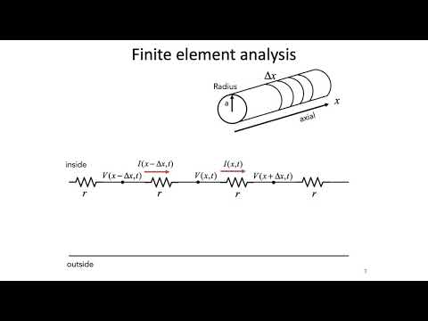 Vídeo: Les dendrites poden rebre informació?