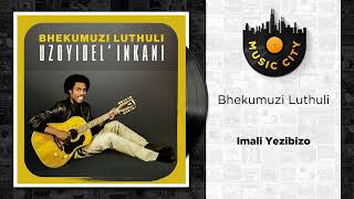 Bhekumuzi Luthuli  Imali Yezibizo   