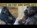 Detroit Zoo Makes History: First-Ev
