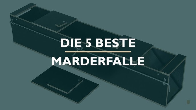 Die 5 Beste Marderfallen im Test 