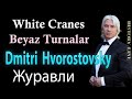 Дмитрий Хворостовский 🎧 Dmitri Hvorostovsky,  White Cranes 👍 Журавли, Beyaz Turnalar, Zhuravli, WW2