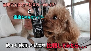 犬の歯磨きに苦戦してる飼い主さんに見てほしい動画です🐶🐾軽いノリで重大発表もしてます(´∀｀*)ｳﾌﾌ by INO.YUNOちゃんねる〜幸せな日常〜 1,653 views 2 months ago 11 minutes, 19 seconds