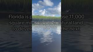 The overdevelopment in Florida must be stopped! #stopdevelopingflorida #florida #conservation