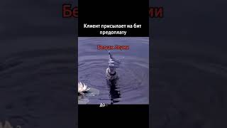 Не забываете платитл налоги? #израиль #бит #юмор #налоги #мем #сказка #советскоекино