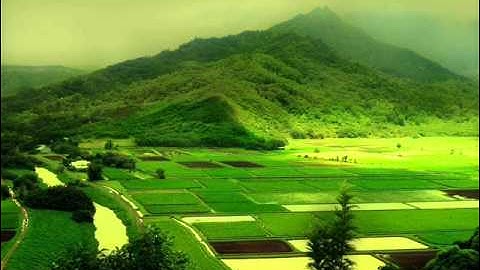 مصحف القارئ :عبدالمحسن العبيكان - سورة الأحزاب