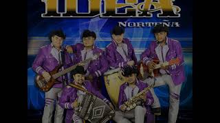 Video thumbnail of "Popurri De Los Mier La Nueva Idea Norteña"