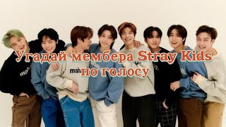 :   Stray Kids  /Guess the member of the Stray Kids by voice