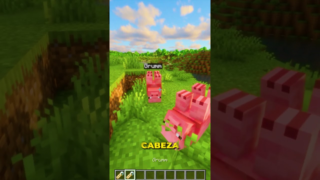 El SECRETO de las ETIQUETAS