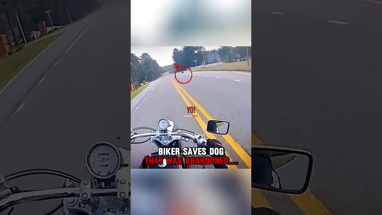 Biker SAVES Dog that was ABANDONED‼️🤯 (@SouthernBiker)