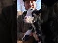 There&#39;s a NEW Baby Goat on my Farm...(Jimmy Got Busy) #flair #fishingwithflair #hunting