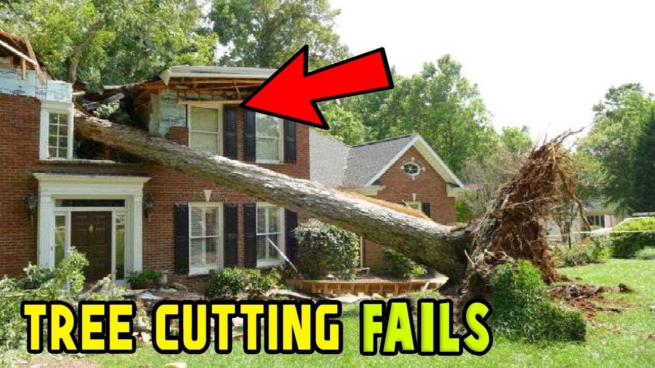 7 EXTREME Dangerous Tree Fails Compilation 202223 Tree Falling in