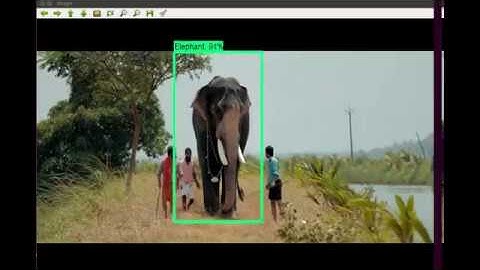 Elephant Detection using Deep Learning | Bahubali Fame Chirakkal Kalidasan