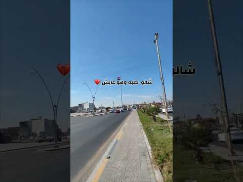 صوت الشاب الذي شالو قلبه الدروز وهو عايش لا تتكلم عن القهر وانت ماشفت الفيدو Nono4 5353 2025