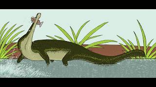 Choristodera: Mysterious Aquatic Reptiles