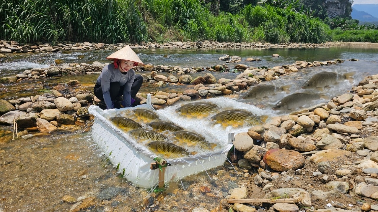 The girl made a fish trap from a torn piece of tarpaulin, and it worked ...