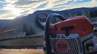 Stihl MS391 - Was It Worth It?