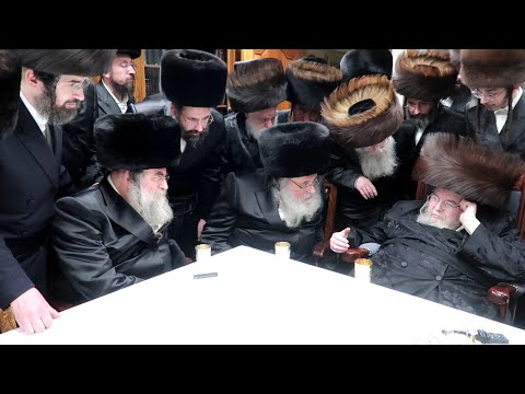 ביקור ר"י מגור שליט"א אצל האדמו"ר מבעלזא שליט"א - פסח - תשפ"ד | R' Shaul Alter Visits Belzer Rebbe