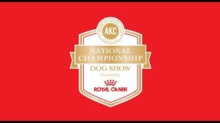 2018 AKC National Championship presented by Royal Canin
