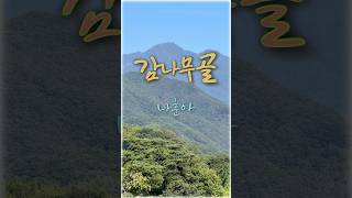 감나무골🩵나훈아#지리산자락#소소한풍경#자연#힐링#트르트#shorts