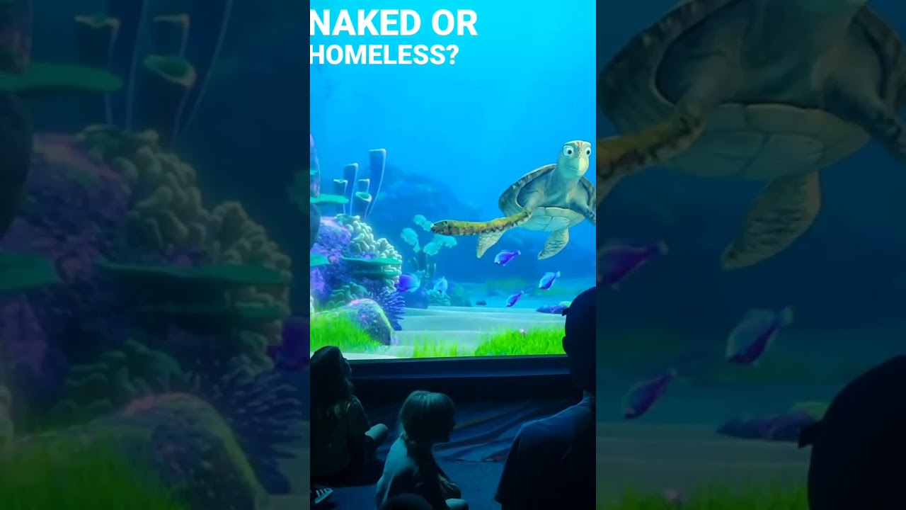 Kids Ask Funny Questions 