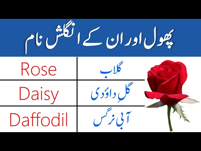 Flowers Names In English With Urdu