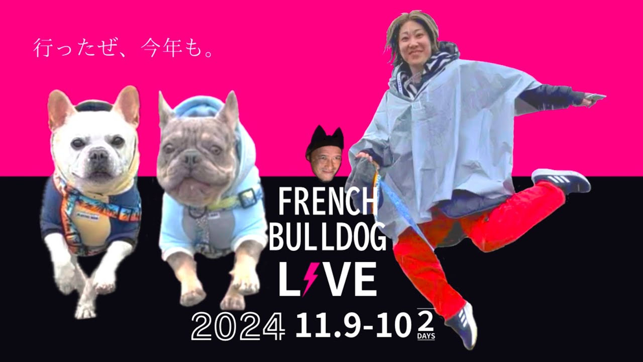 【フレブルLIVE 2024】フレブル好きが集まるイベントで「どうしてフレンチブルドッグなのか？」を聞いてみた！