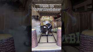 Toros Mecánicos En Venta Fábrica Brincobebetos