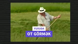 yuxuda ot gormek / yuxuda ot bicmek nece yozulur