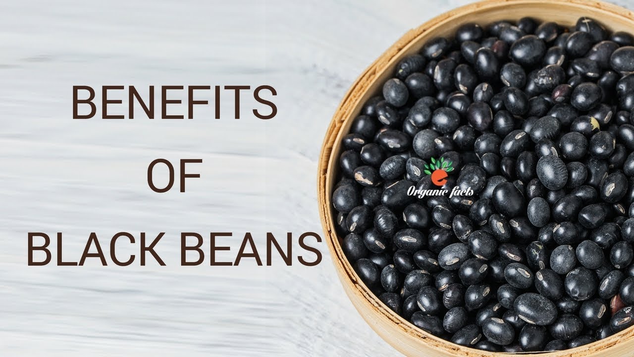 Best Health Benefits Of Black Beans Benefits Of Black Beans YouTube