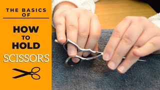 How to Hold Scissors - Haircuts at Home
