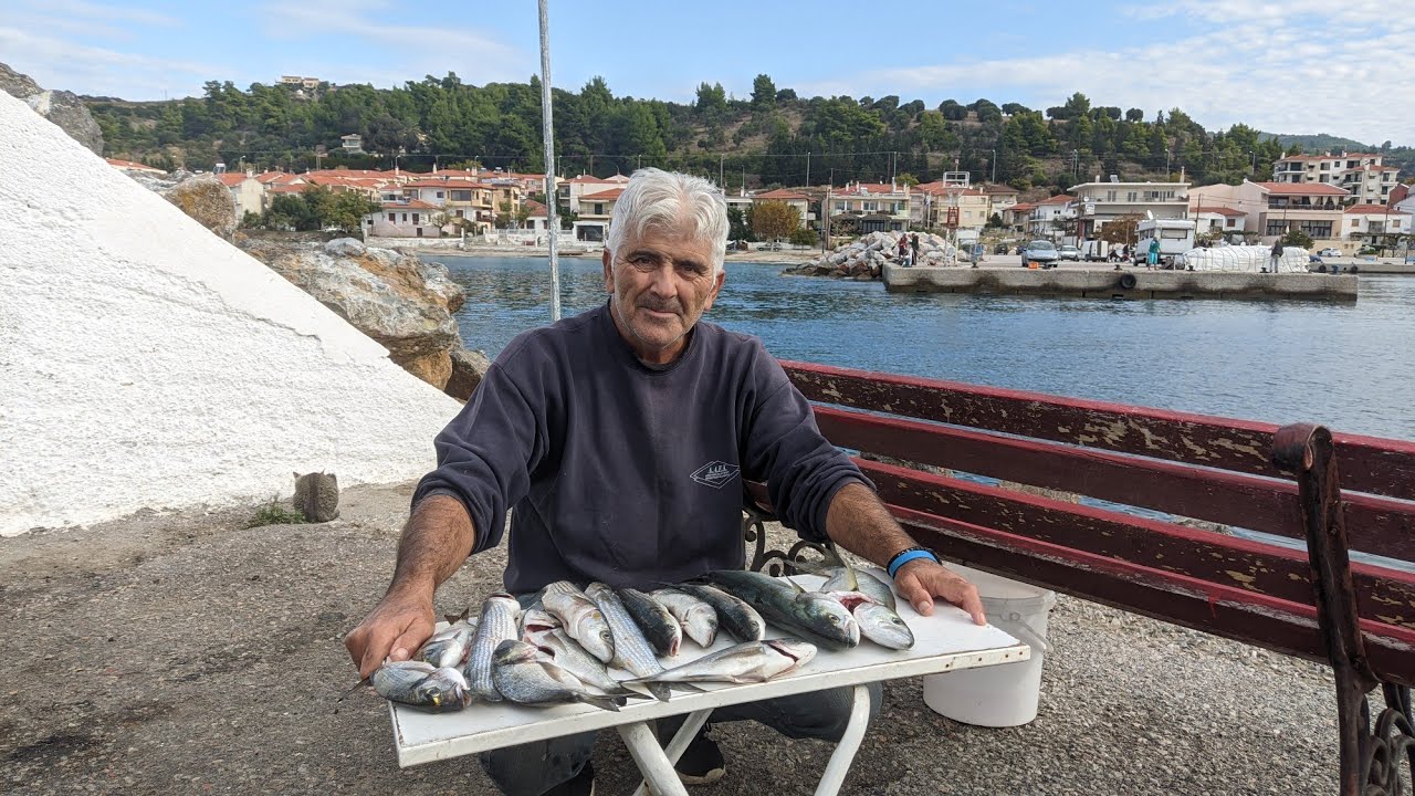 ΓΟΦΑΡΙΑ ΣΤΟ ΓΑΪΔΟΥΡΟΚΑΛΟΚΑΙΡΟ