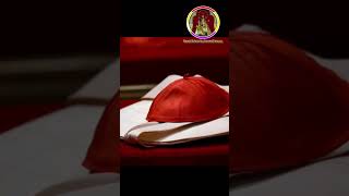 This Is The First Conclave Held With Number Exceeding 120elector Threshold