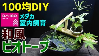 和風【メダカのビオトープ】作り方100均DIY! メダカ室内飼育 滝ビオトープ作成～How to Make Tabletop Waterfall Fountain Biotope～