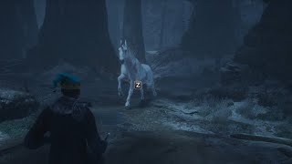 Hogwarts Legacy Episode 39 -  Animal Rescue