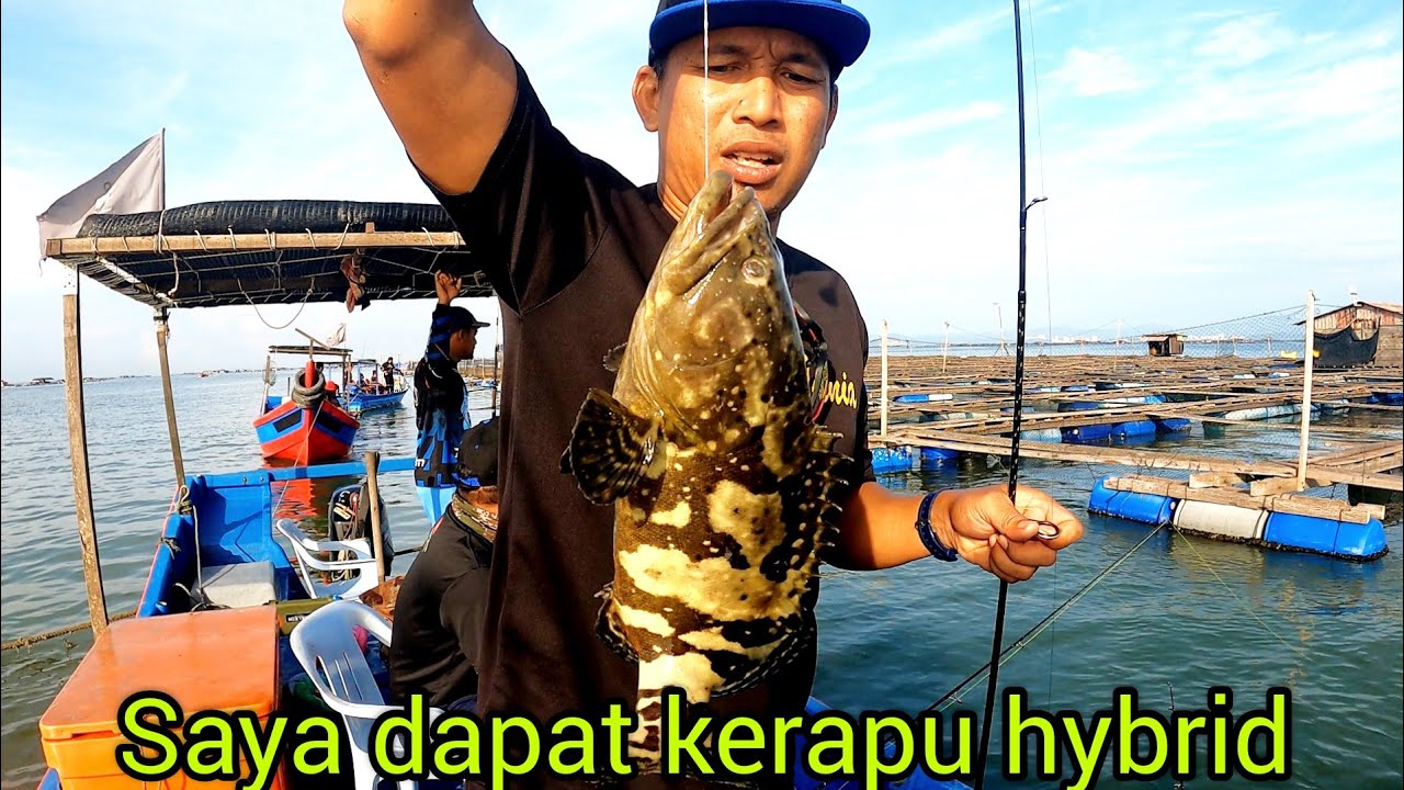 Trip Memancing Di Penang Memang Best//Sangkar Ikan Sungai Udang