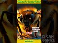 “Trees &amp; Bees Can Do THIS?! 😳 Nature Is Insane!” #shorts #WowDropFacts #factshorts